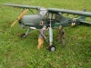 storch_005